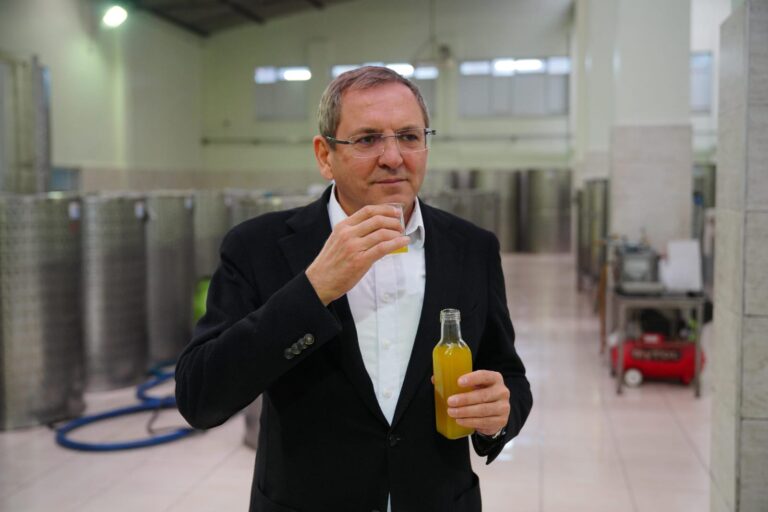 BAŞKAN ERGİN; “ZEYTİNLİKLERİMİZE SAHİP ÇIKTIK”